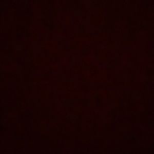 Meet your Posher, Paul